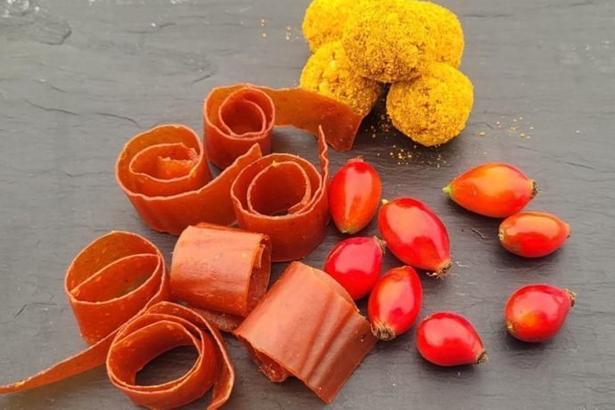 ArosaAkadmie «Wildfrüchte Workshop» (gdl_886764365_image)