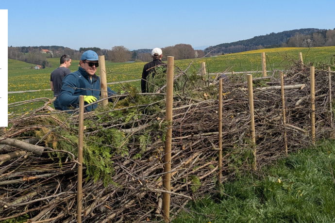 Bauen mit dem WWF eine Totholzhecke in Sagogn (gdl_887118592_image)