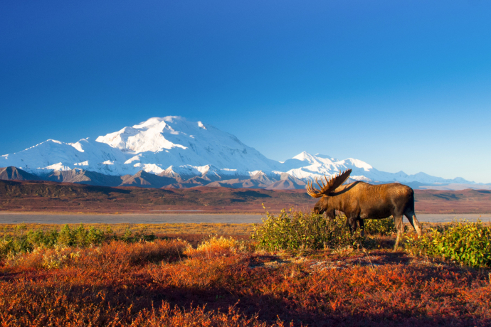 Explora: Alaska - Wildes Land (gdl_888314324_image)