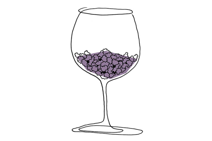 Liquid Tasting Portwein (gdl_889491416_image)