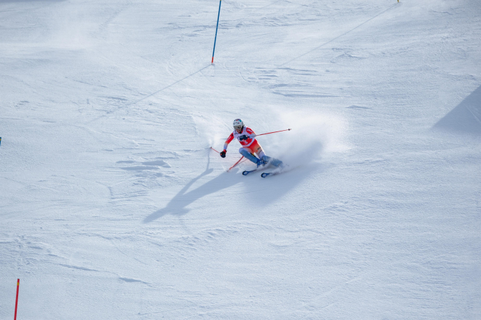 FIS Alpine Skiing Race (gdl_890554767_image)