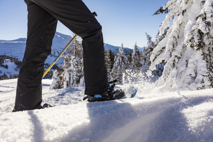 Thomi's Schneeschoutouren - zur Alp Piänetsch (gdl_894000335_image)
