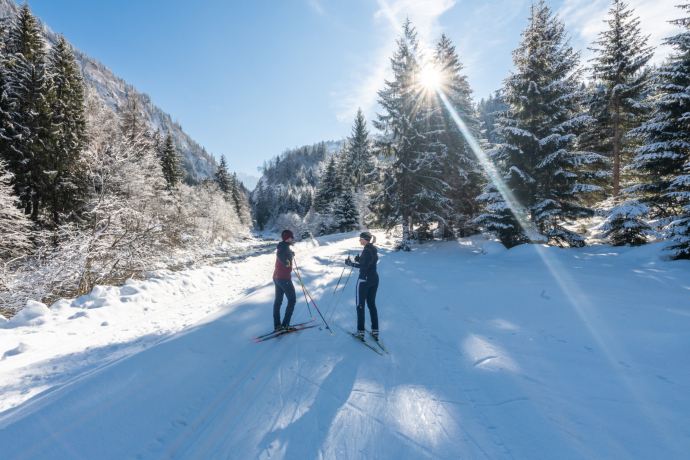 Nordic Tag in Flond (gdl_895525989_image)