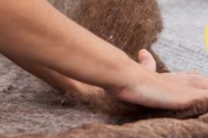 Zievamezdi dˋinscunter / Seniorennachmittag (gdl_895587912_image)