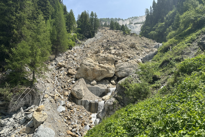 Di dal god / Forest day (gdl_895726641_image)