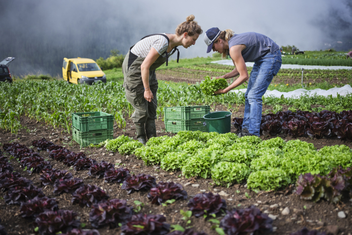 Klimagipfel für Landwirtschaft und Esskultur (gdl_895741327_image)