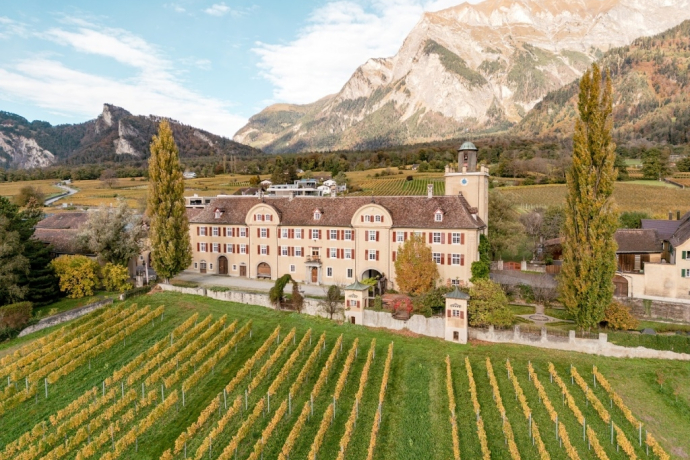 Offener Weinkeller - Big Bottle Tasting (gdl_896439685_image)