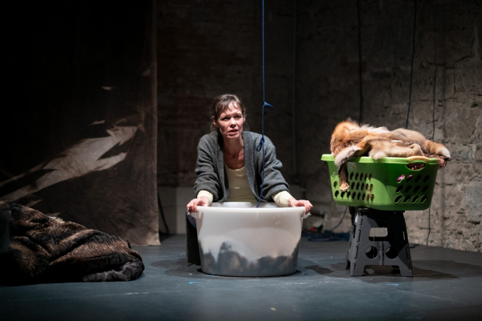 Zum Beispiel Wölfe (gdl_897447083_image)