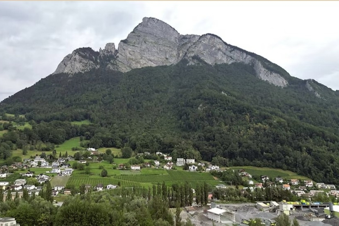 “GRÜNE GEISS” - DER UMWELTSTAMMTISCH (gdl_897638845_image)