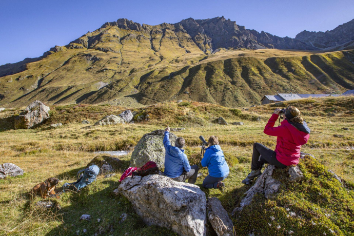 2-Tages-Wildbeobachtung im Parc Ela (gdl_897825008_image)