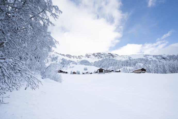 Festtags-Apéro im Rheinwald - Medels (gdl_897965970_image)
