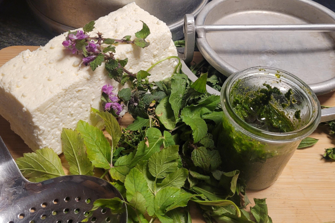 ArosaAkademie «Frischkäse herstellen» (gdl_897975957_image)