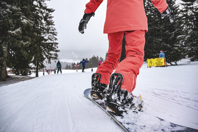 Beginner all inkl. (gdl_899148723_image)