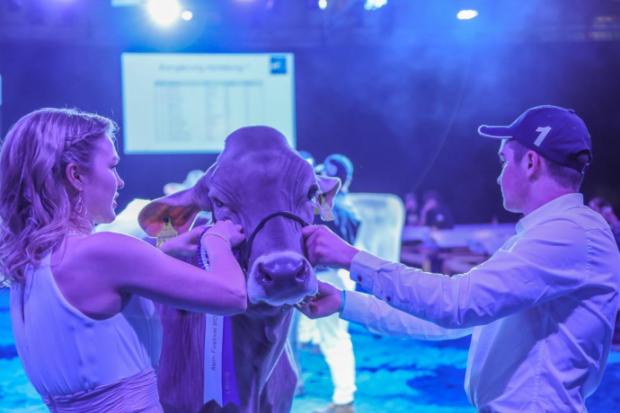 Alpin Festival – Junge Viehzüchter präsentieren ihre Leidenschaft (gdl_899953794_image)