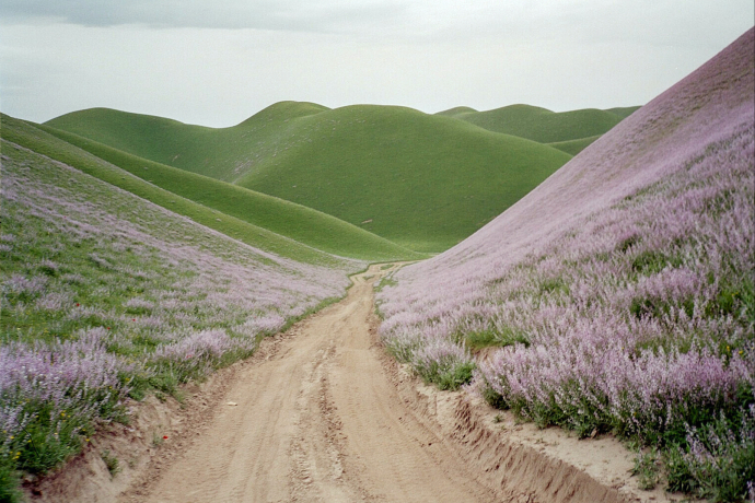 film & culinarica: RIVERBOOM (gdl_900092483_image)