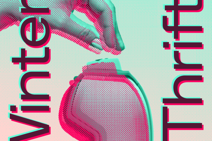 Winter Thrift - mache aus alt, neu. (gdl_900135953_image)