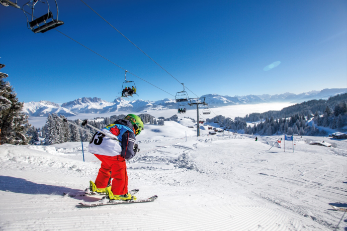 Dr gschwindscht Danusa-Fuchs (gdl_901080958_image)