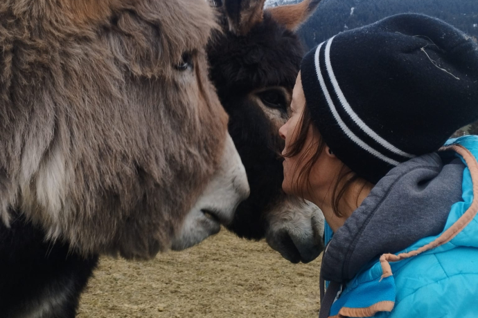 Besuch auf dem Bauernhof (gdl_901207433_image)