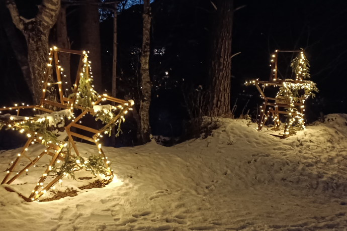 9. Filisurer Lichterweg (gdl_901879306_image)