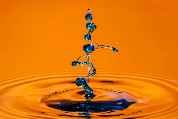 Vernissage Waldgalerie - Ausstellung "Tropfen" (gdl_902570734_image)