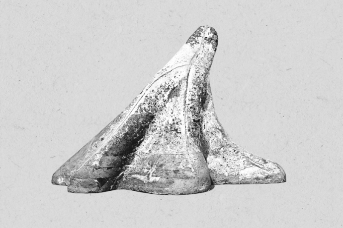 form25: An exchange in skateboarding (gdl_903195167_image)