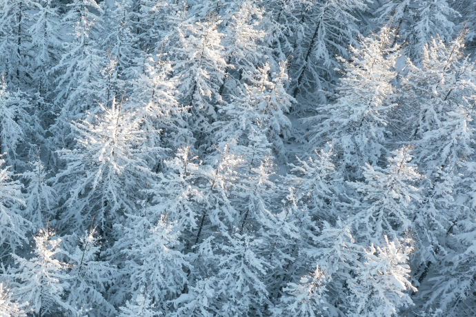 Breathwork Engadin (gdl_904201852_image)