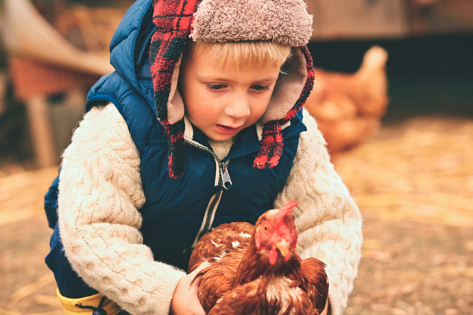 "Plai a mi" Programm: Bauernhoferlebnis in Brigels (gdl_904284063_image)