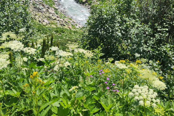 Alpenüberquerung Via Valtellina (gdl_904414527_image)