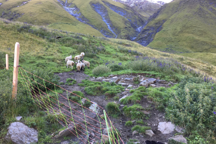 "Ein Leben in den Bergen" Referat von Michael Flepp in Lumbrein (gdl_904451125_image)