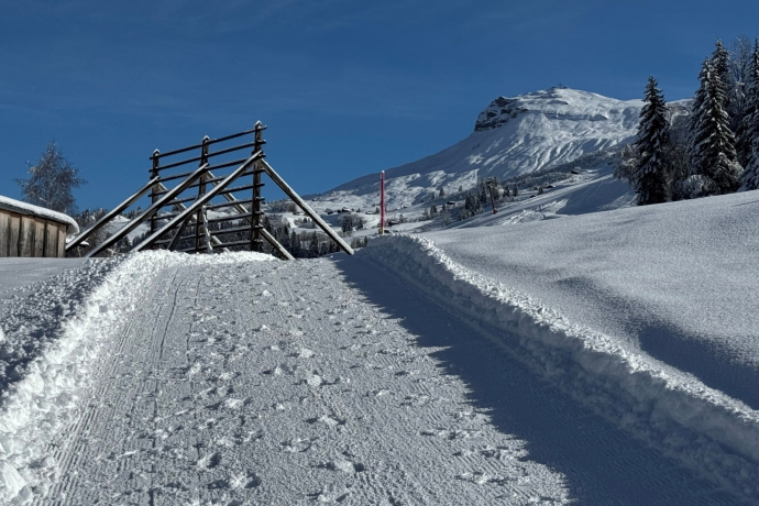 Neujahrsapéro in Obersaxen-Meierhof (gdl_904474292_image)