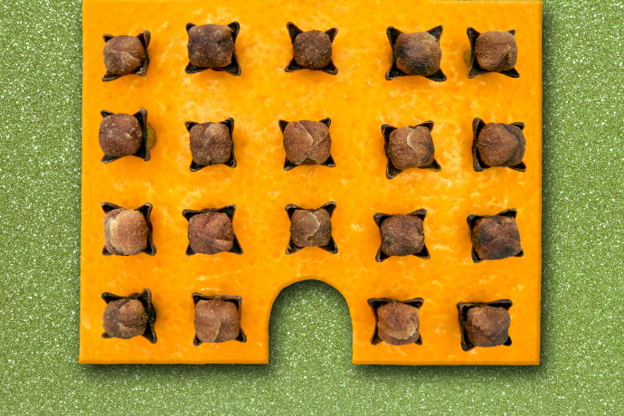 Theatralischer Adventskalender – 23 Türchen (gdl_904506790_image)