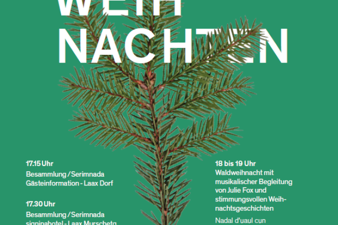 Waldweihnachten Laax (gdl_904833201_image)