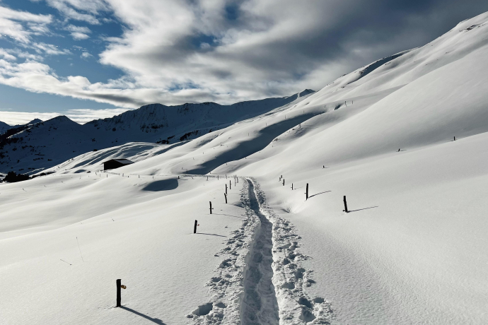 Schneeschuhsafari vom Prättigau ins Schanfigg (gdl_905519615_image)