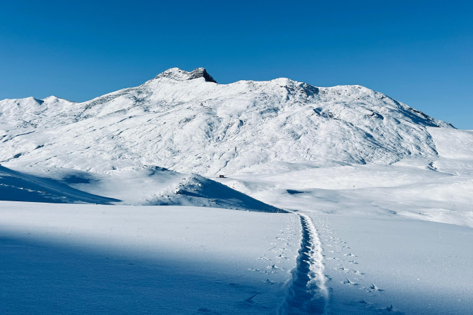 Schneeschuhsafari vom Prättigau ins Schanfigg (gdl_905519678_image)