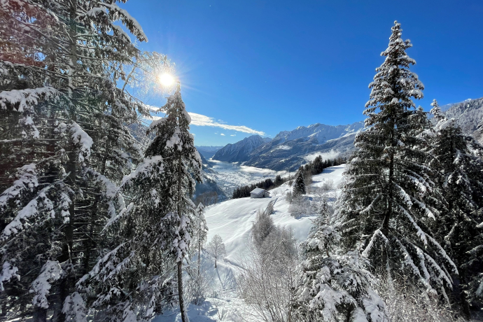 Yoga & Schneeschuhwandern im Val Poschiavo / 3 Tage (gdl_905529825_image)