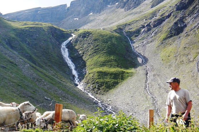 "Ein Leben in den Bergen" Referat von Michael Flepp in Lumbrein (gdl_905920575_image)