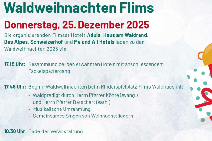 Forest Christmas December 25, 2024 (gdl_906021050_image)