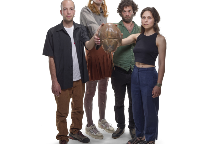 Killer Whales Music Theory (Koop. mit Suisse Diagonales Jazz) (gdl_906467786_image)