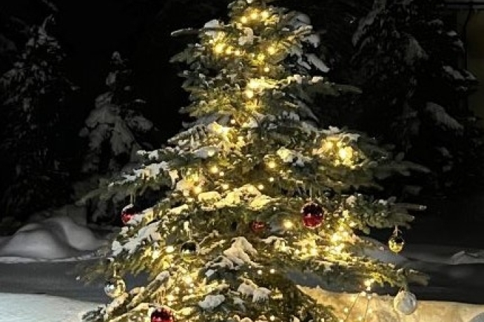 Bös-chin da scoula Guarda/Ardez (gdl_906626693_image)