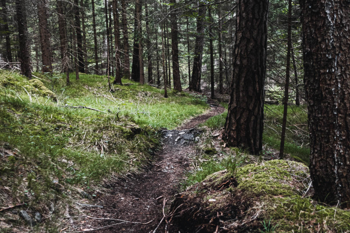 Fürstenflow Royale Superiore