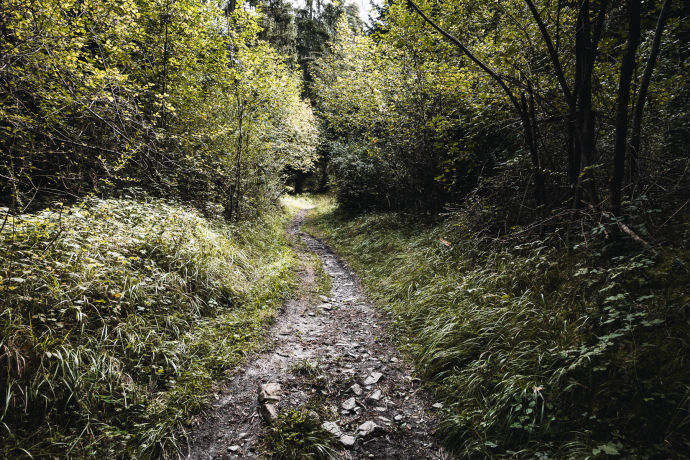 Trimmiser Rüfe Trail