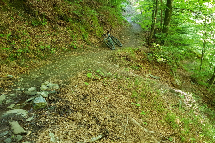 Trail-Einstieg Nasstobel Trail