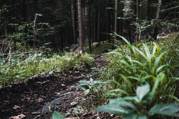 Fürstenflow Royale Superiore