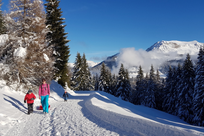 Edelweiss circular route Brambrüesch