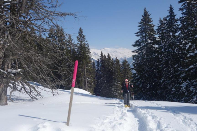Aufstieg nach dem Spundiswald