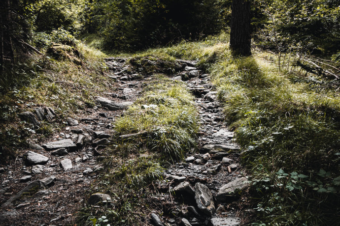 Trimmiser Rüfe Trail