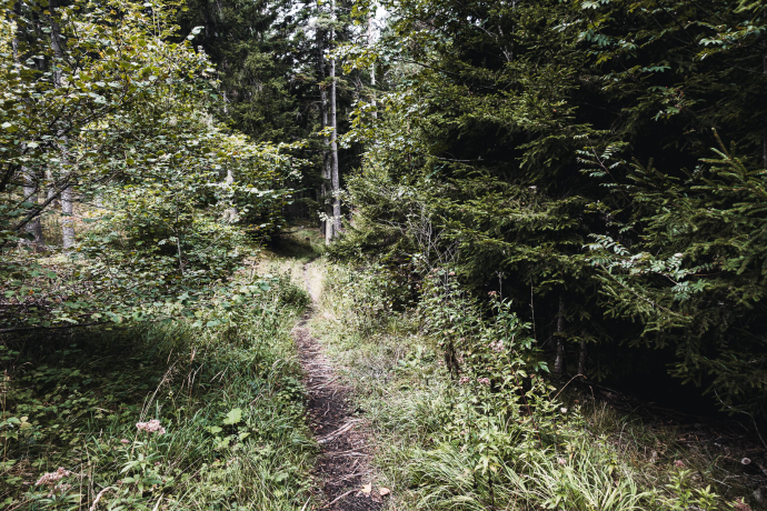 Maschänser Scalära Trail