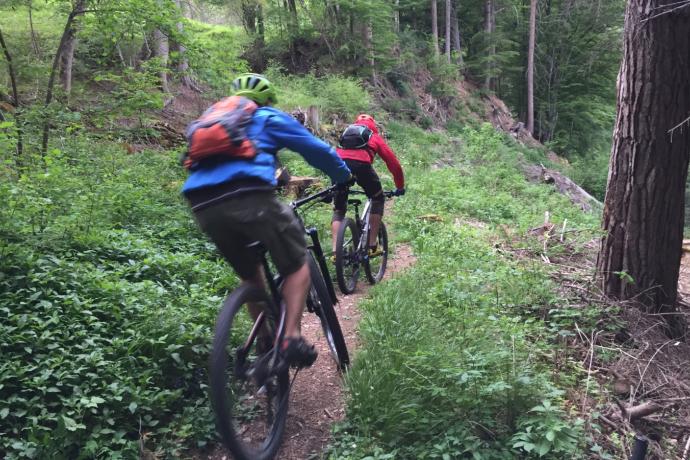 Trail zwischen Malix und Passugg