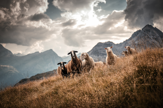 Farm shop Bio Yak Hof Heinz