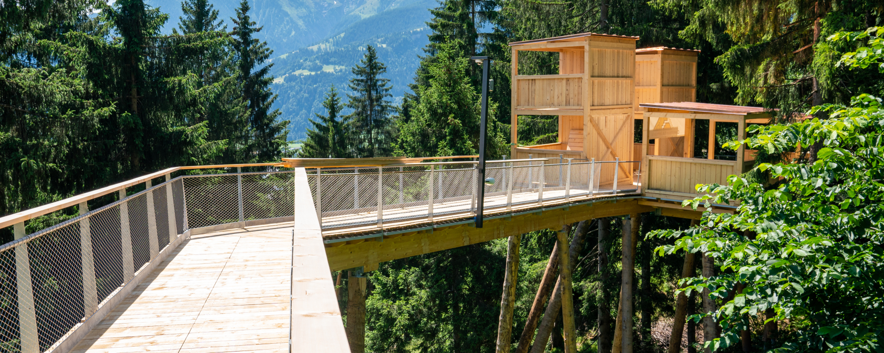Baumwipfelpfad «Senda dil Dragun» (Foto: © Flims Laax Falera / Philipp Ruggli)